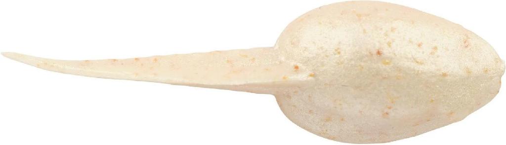 BKLY GULP ALIVE TADPOLE 1.25' LUMA GLOW 2.1oz JAR