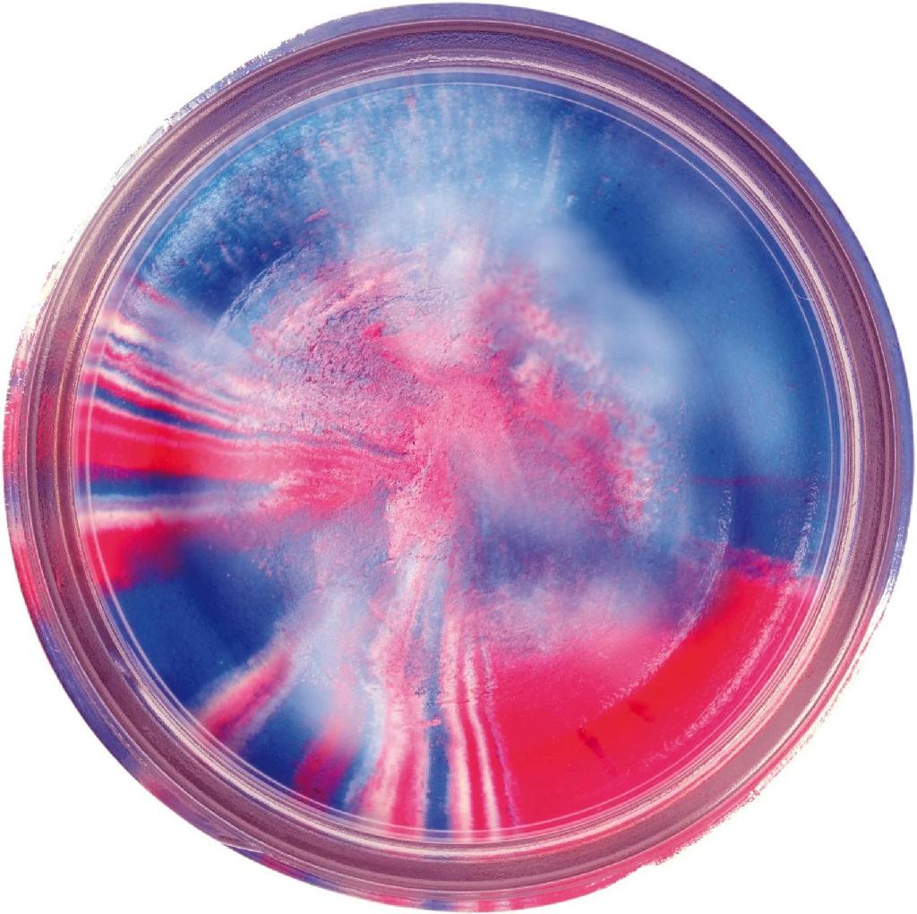 BRK'LY GLITTER TROUT BAIT  CAPT/AM R/W/B