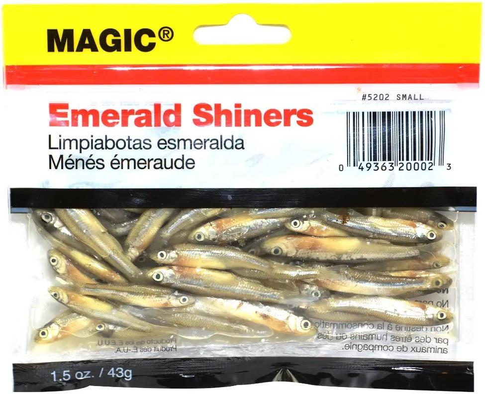 MAGIC PRESERVED MINNOW SMALL  NATURAL - Gunarama