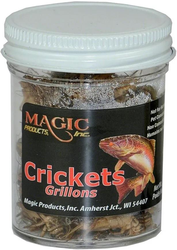 MAGIC PRESERVED CRICKETS - Gunarama
