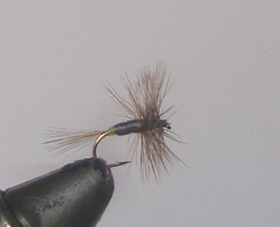 C/A FLIES  ADAMS  FEMALE #16 (12)