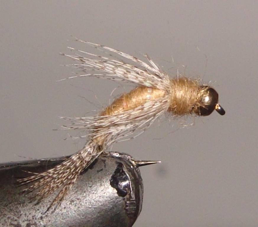 C/A FLIES  BIRD OF PREY TAN #14 (12)