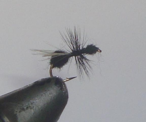 C/A FLIES  BLACK FLYING ANT #14 (12)