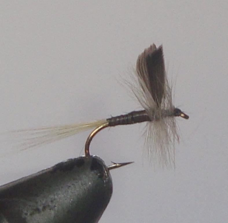 Gunarama C/A Flies Blue Quill #12 Fly Fishing Accessory 12 Pack