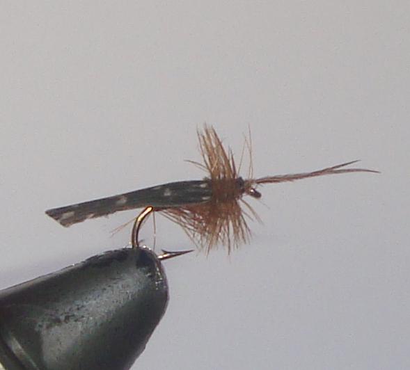 C/A FLIES  CADDIS TENTWING #10 (12)