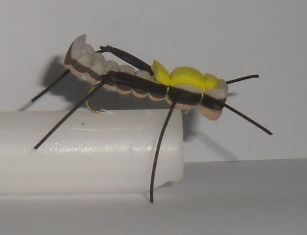 C/A FLIE CLUB SANDWICH FOAM TAN #10 (12)