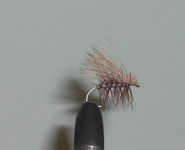 C/A FLIES  ELK HAIR CADDIS TAN #10 (12) - C/A