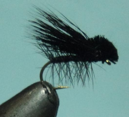 C/A FLIES ELK HAIR CADDIS BLACK #16 (12) - C/A