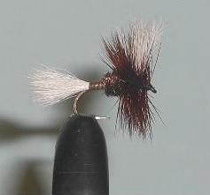 C/A FLIES  H & L VARIANT #14 (12)