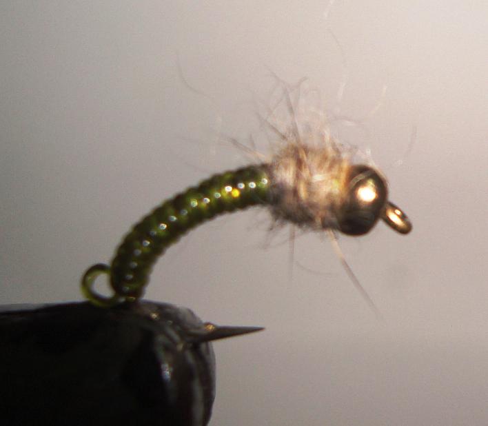 C/A FLIES  JELLY CADDIS OLIVE  #12 (12)