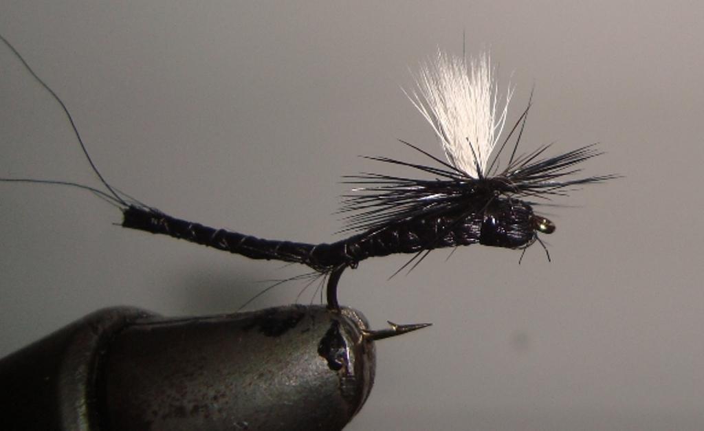 C/A FLIES EXTENDED MAYFLY BLACK #12 (12) - C/A