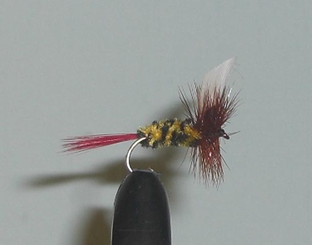 C/A FLIES  McGINTY #14 (12)