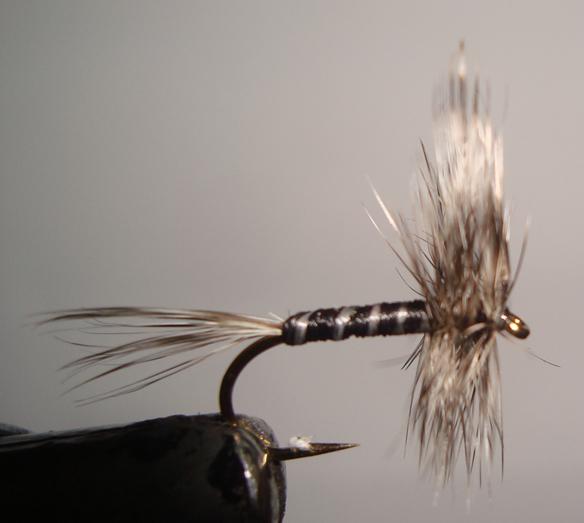 Gunarama C/A Flies Mosquito #10 Fly Fishing Accessory 12 Pack - C/A