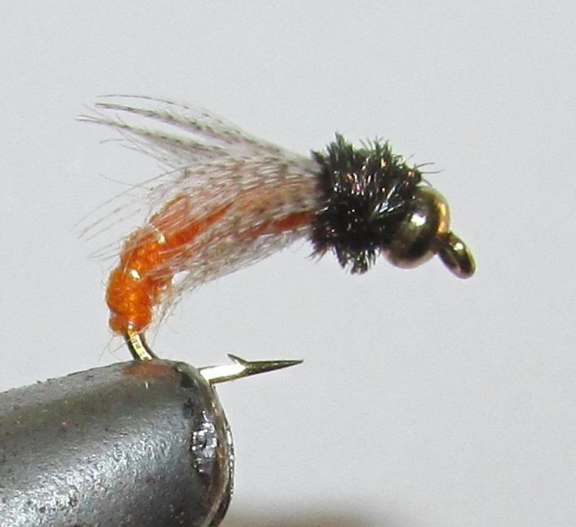 C/A FLIES  OCTOBER CADDIS B/H #10 (12) - C/A