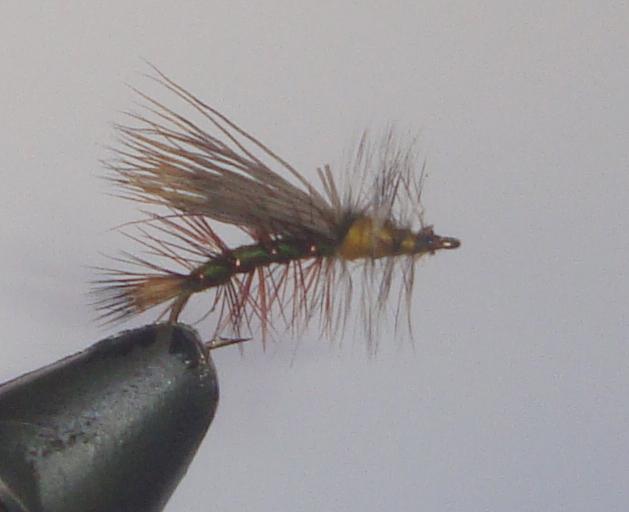 C/A FLIES  OLIVE STIMULATOR #8 (12)