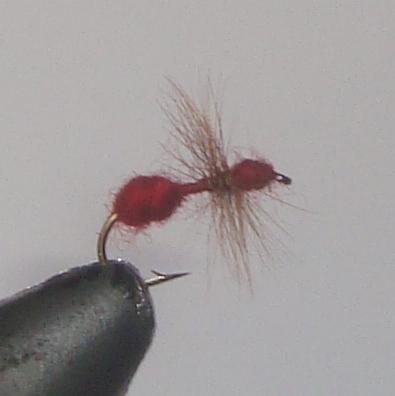 C/A FLIES  RED ANT #14 (12)