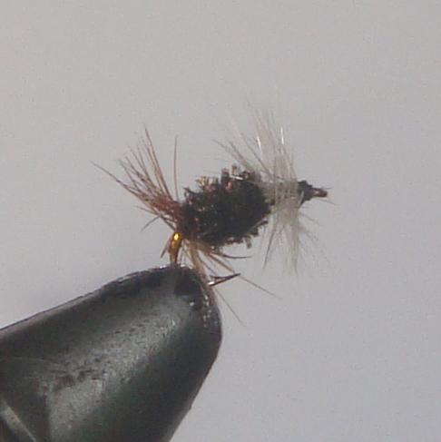 C/A FLIES  RENEGADE #16 (12)