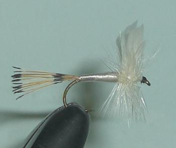 C/A FLIES  WHITE MILLER #12 (12) - C/A