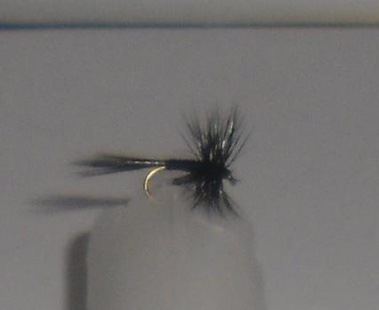C/A FLIES  MIDGE BLACK #16 (12)