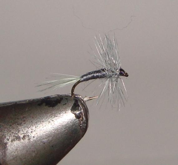C/A FLIES  MIDGE GRAY #16 (12)