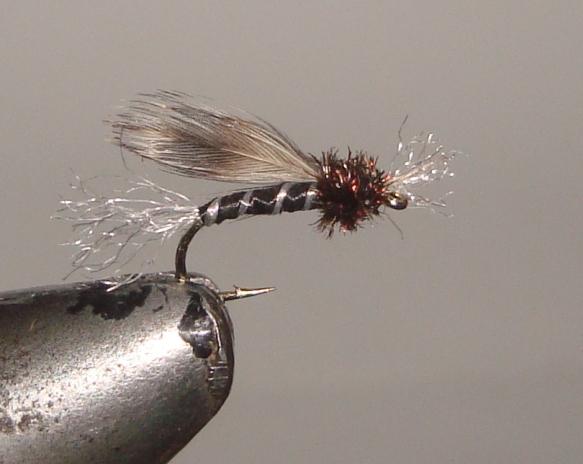 C/A FLIES  CHIRONOMID BLACK #10 (12)