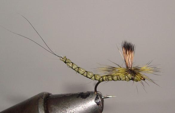C/A FLIES  EXT. BODY GRN DRAKE #12 (12)