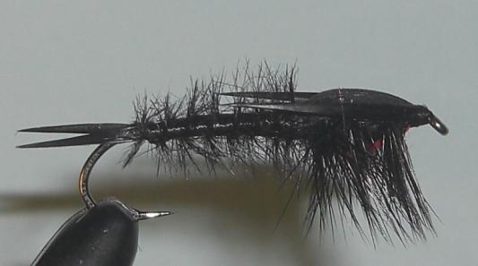 C/A FLIES  HELGRAMITE #8 (12)