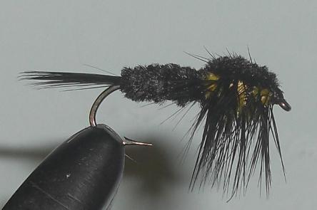 C/A FLIES  MONTANA STONE #8 (12)