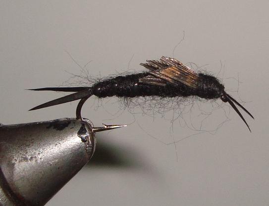 C/A FLIES  STONEFLY BLACK #10 (12)