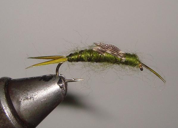 C/A FLIES  STONEFLY OLIVE #8 (12)