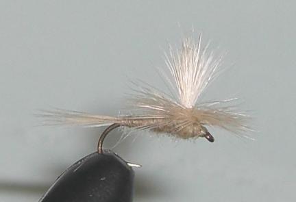 C/A FLIES  CAHILL LT. PARACHUTE #14 (12)