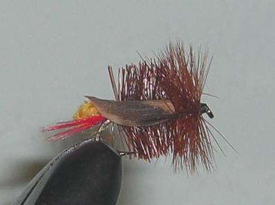 C/A FLIES  HOPPER JOE'S #6 (12)