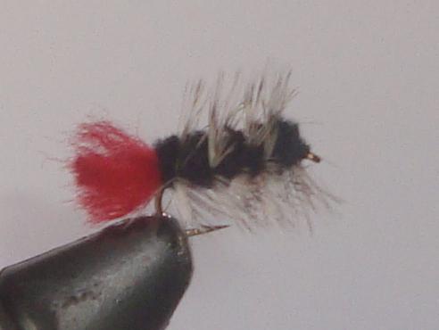 C/A FLIES  WOOLYWORM BLACK #8 (12) - C/A