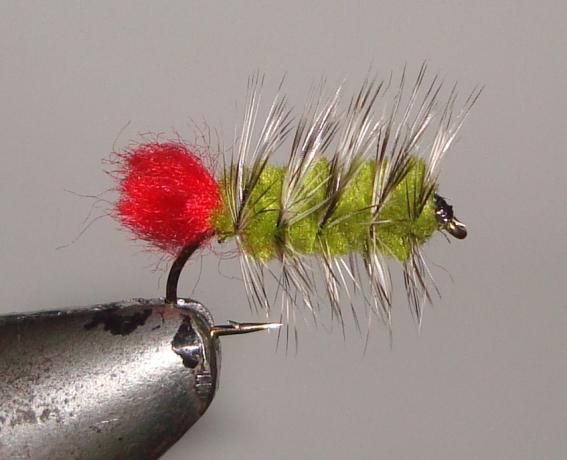 C/A FLIES  WOOLYWORM OLIVE #6 (12)