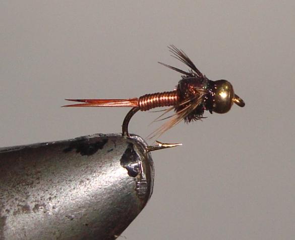 C/A FLIE COPPER JOHN B/H COPPER #12 (12) - C/A