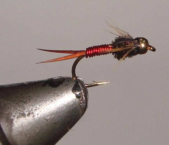 C/A FLIE COPPER JOHN B/H  RED #12 (12)