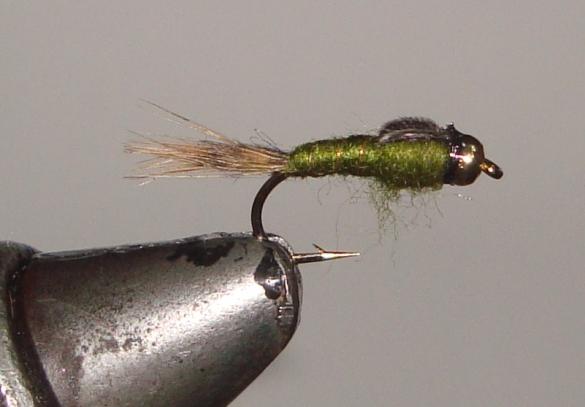 C/A FLIES GREEN DRAKE BEADHEAD #14 (12) - C/A