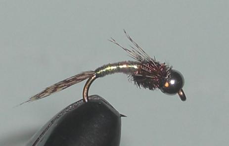 C/A FLIES GOLD RIB HARES BEAD/H #10 (12)