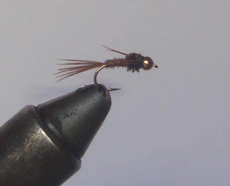 C/A FLIES PHEASANT TAIL BEAD/HD #18 (12)