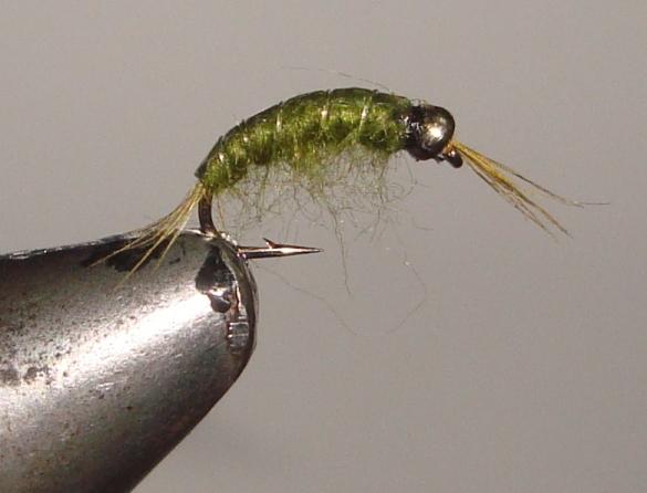 C/A FLIES  SCUD BEAD/HD OLIVE  #16 (12)