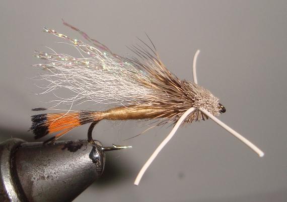 C/A FLIES TURKS TARANTULA #12 (12)