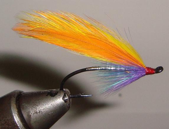 C/A FLIES  WINTER'S HOPE #2 (12)