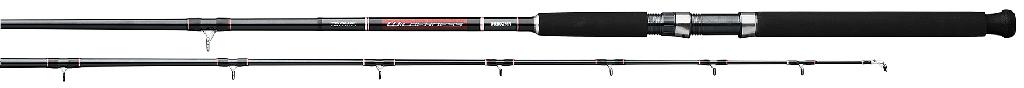 Daiwa Wilderness Spec Rod 2-Piece Line Wt 15-30 WDDR902MHR