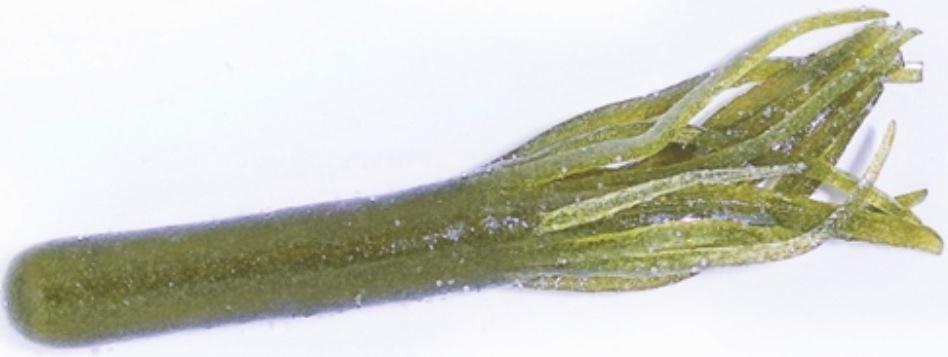 D.C.2-3/4'DROPSHOT TUBE(10)OLD UGLY (moss green) - Gunarama