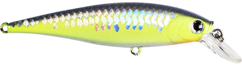 LUCK POINTER 78  MS CRACK