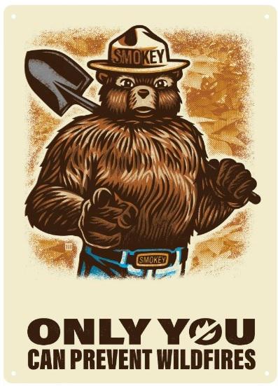 R.EDGE TIN SIGN-ONLY YOU CAN PREVENT WILDFIRES *SMOKEY BEAR* 12IN X 17IN