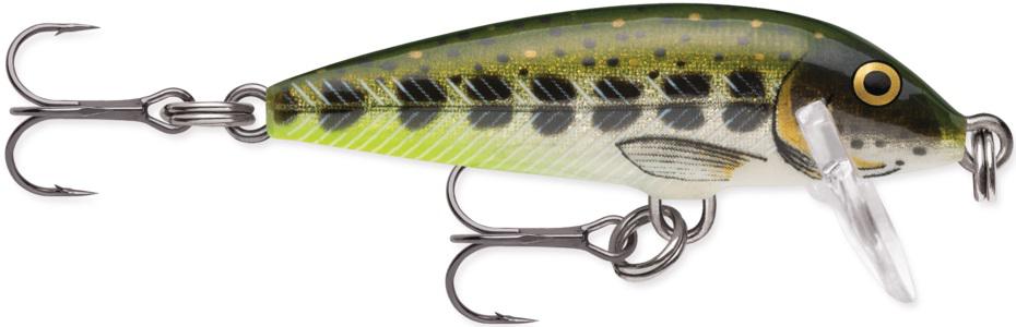 RAPALA 1/8 COUNTDOWN  OLIVE GRN MUDDLER