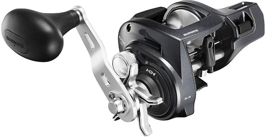 Shimano Tekota 4BB 6.6 SW Cast LC Fishing Reel - Shimano