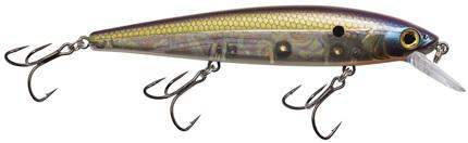 SK KVD ELITE 300D JERKBAIT TN SHAD 2.0