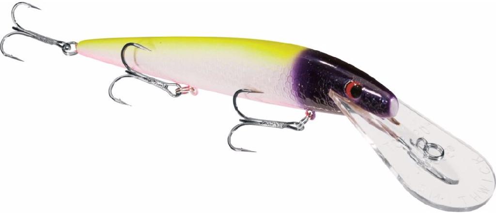 WARRIOR CUSTOM TOP 20 SHE'LL DO